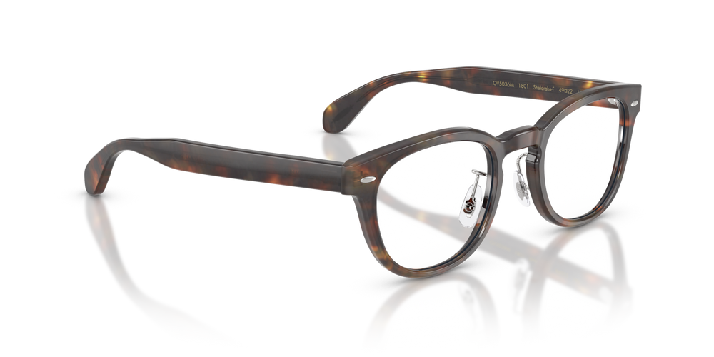 Oliver Peoples Sheldrake-F with DTB frame - image 3