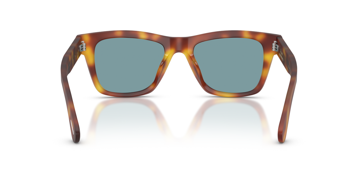 Oliver Peoples Alex Israel with Semi Matte LBR frame and Green lenses - Image Nosepads