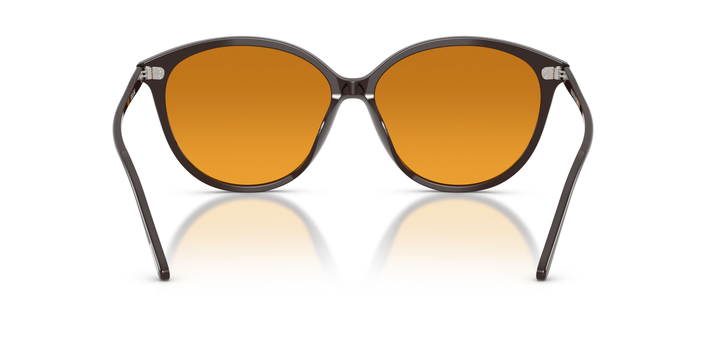 Oliver Peoples Soleau avec une monture Brun Kuri et des verres Brun - Image Plaquettes de nez