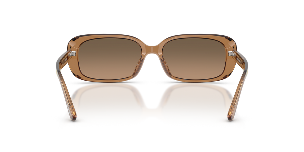 Oliver Peoples Elietta with Carob frame and Brown lenses - image 5