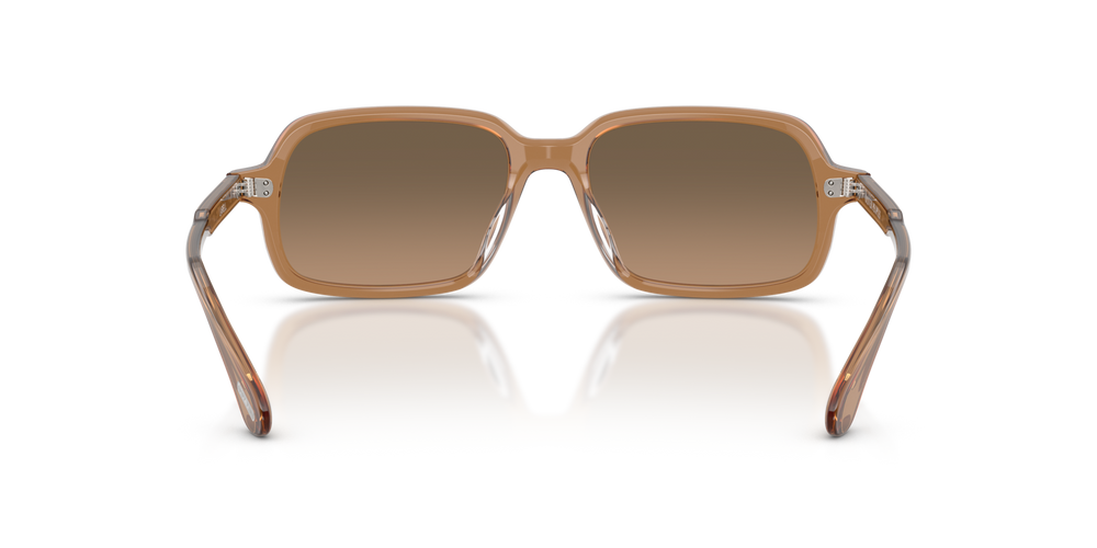 Oliver Peoples Larell avec une monture Carob et des verres Brun - image 5