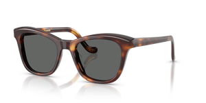 Oliver Peoples Edition 10 con montatura Mogano scuro e lenti  Grigio - immagine 1